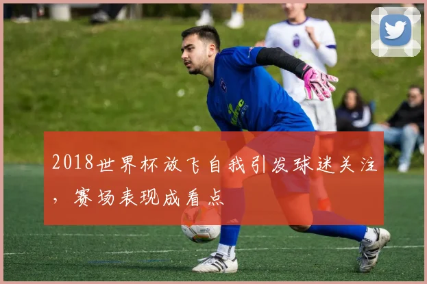 2018世界杯放飞自我引发球迷关注，赛场表现成看点