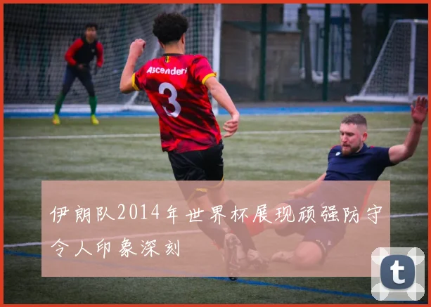 伊朗队2014年世界杯展现顽强防守令人印象深刻