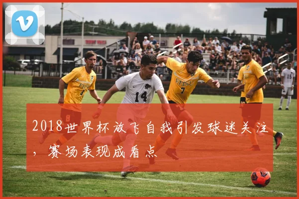 2018世界杯放飞自我引发球迷关注，赛场表现成看点