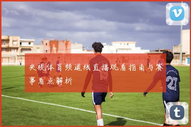 央视体育频道线直播观看指南与赛事看点解析