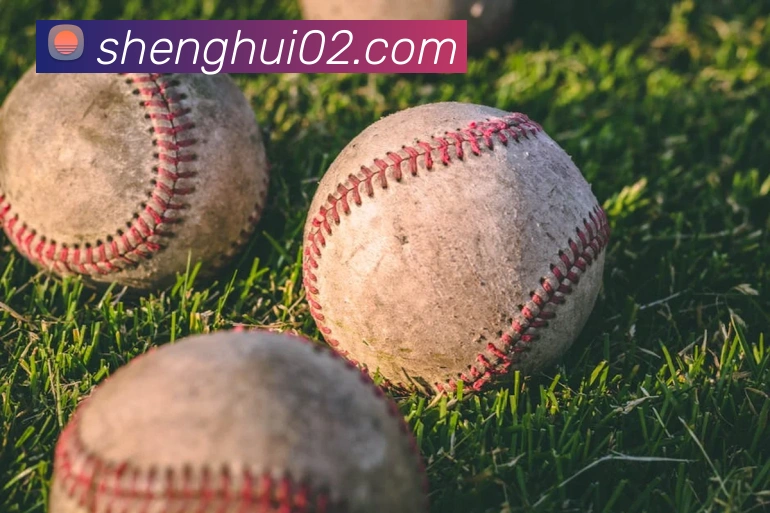 完美体育官网服务体系